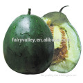 Long pear shaped fruit Hybrid F1 sweet melon seeds For Growing-Sliver Crisp Honey